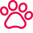 Animales